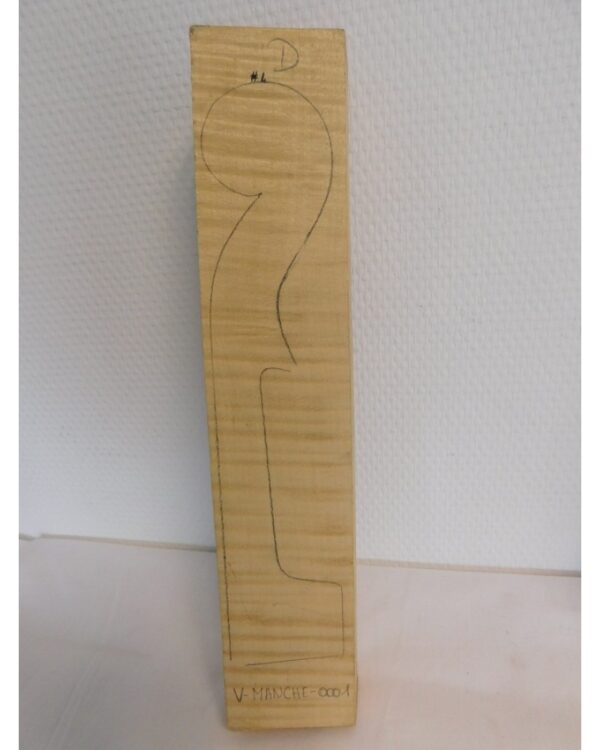 Manche violon MASTER GARDE
