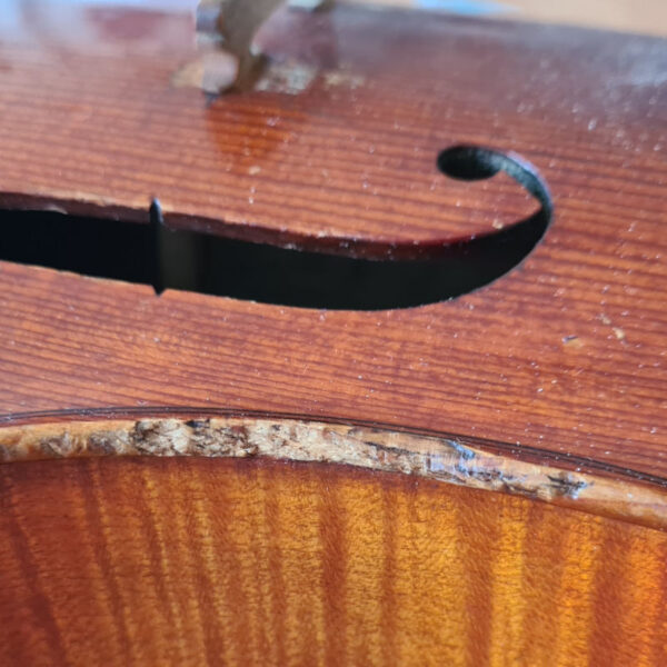 Protection de "C" pour violon – Image 2