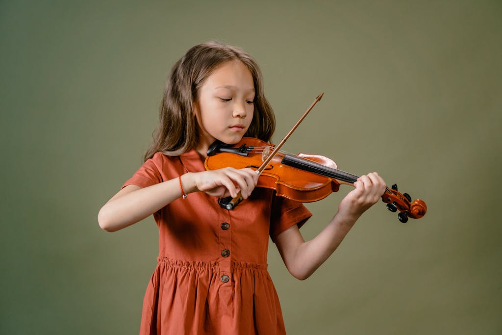 Archets de violon pour débutant
