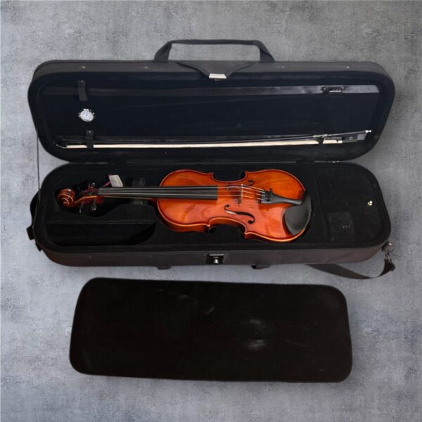 Pack violon pour débutant Supérieur d'occasion